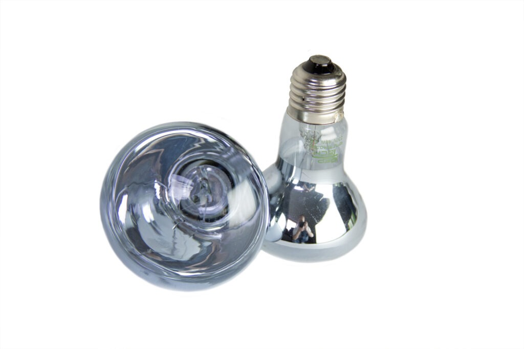 LB-series-lampen-groot-1024x683