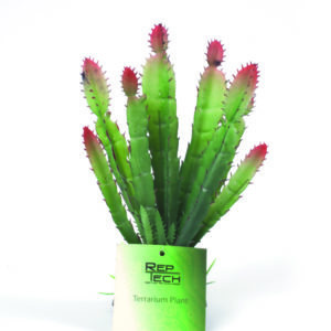 REPTECH Sztuczna roślina kaktus wzór FULL