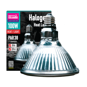 ARCADIA żarówka grzewcza halogenowa 100W spot (UVA)