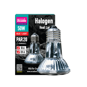 ARCADIA żarówka grzewcza halogenowa 50W spot (UVA)