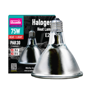 ARCADIA żarówka grzewcza halogenowa 75W spot (UVA)
