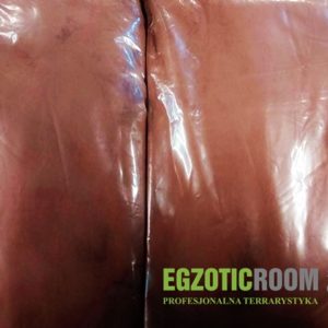 Egzotic-room Glina czerwona sucha (2 kg)