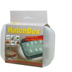 LUCKY REPTILE box, pudełko inkubacyjne z termometrem