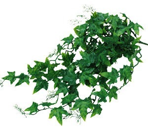 LUCKY REPTILE Sztuczna roślina bluszcz (60 cm)