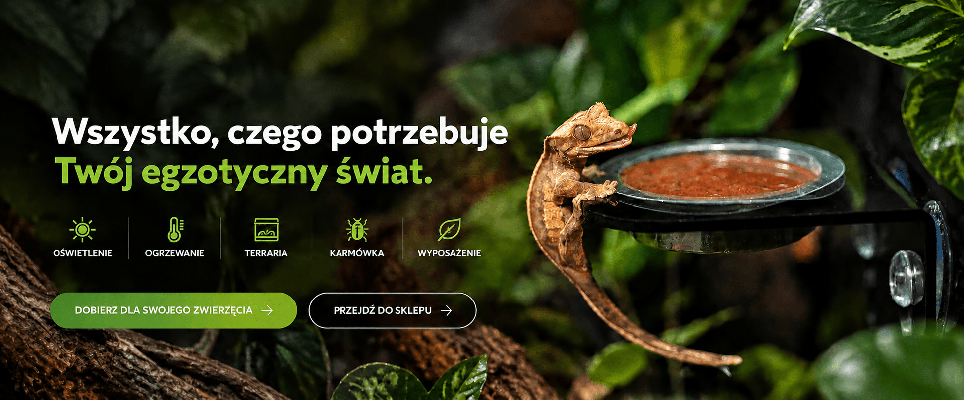 Egzotic-Room - wszystko, czego potrzebuje Twój egzotyczny świat
